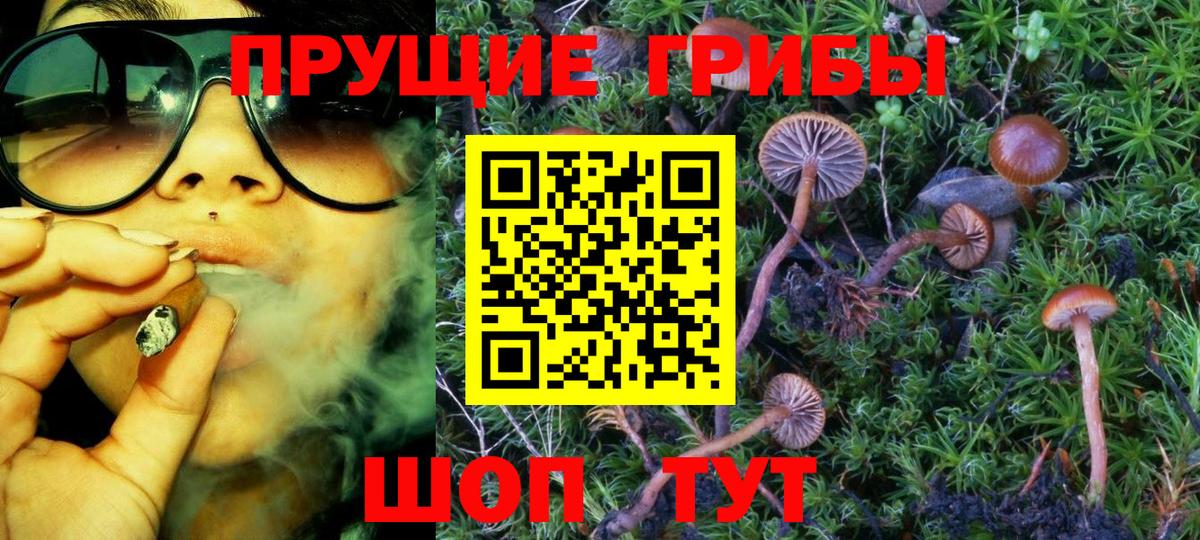 Псилоцибиновые грибы Cubensis  Вход с VPN  Уссурийск 